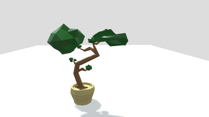 Bonsai tree - low poly 3D Model