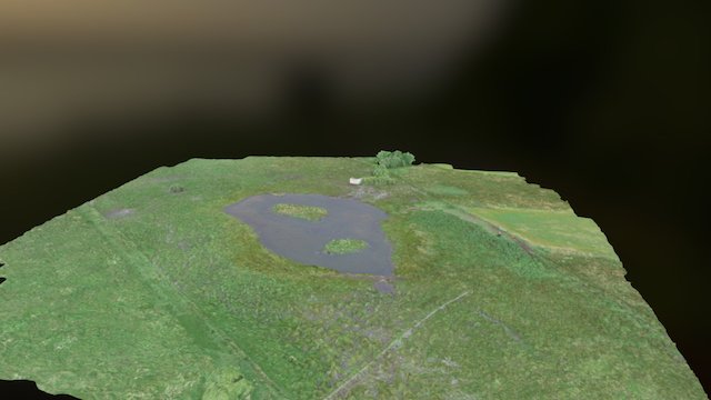 august 4th Survey-Pond Area-3D mesh 3D Model