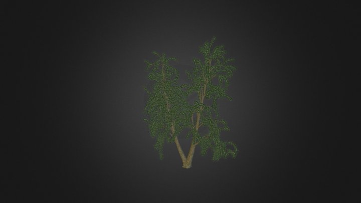 Rowan Tree 3D Model