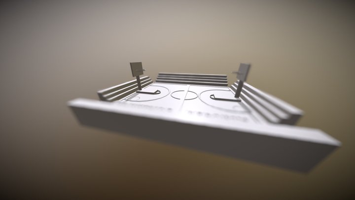 Ians Basketball court 3D Model