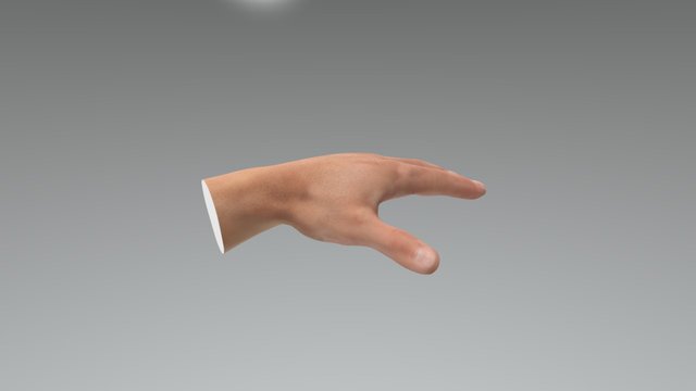 Рука-1 3D Model