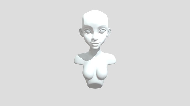 Rodriguez0703 Upper Lid 3D Model