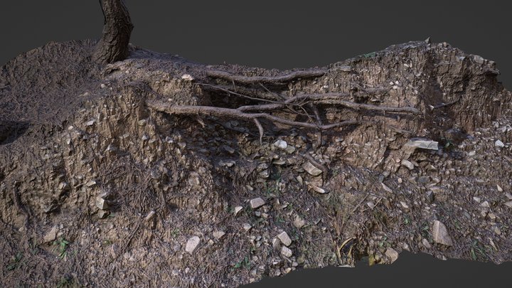 Embankment pine forest 2 3D Model