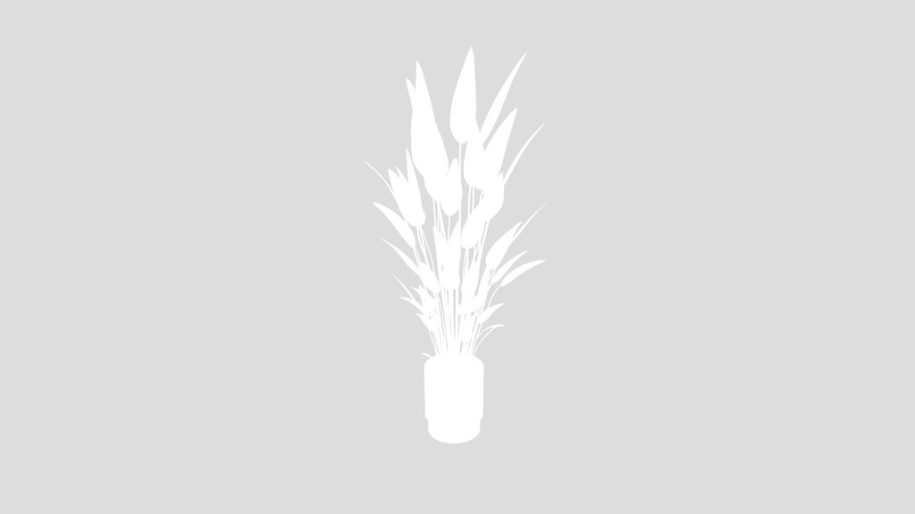 Indoor Plant Bird Of Paradisebird