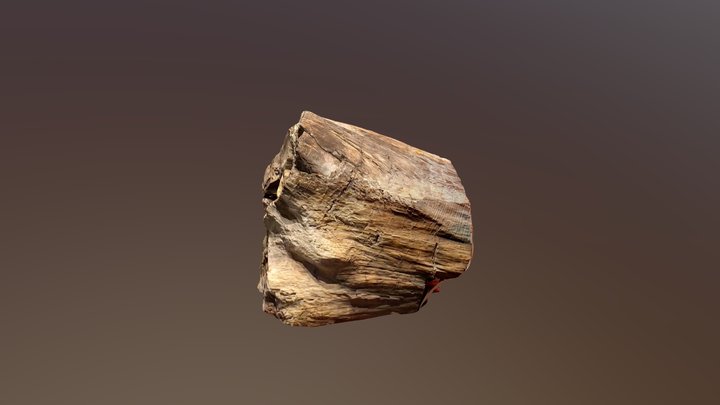 Jurassic Petrified Log Top 3D Model