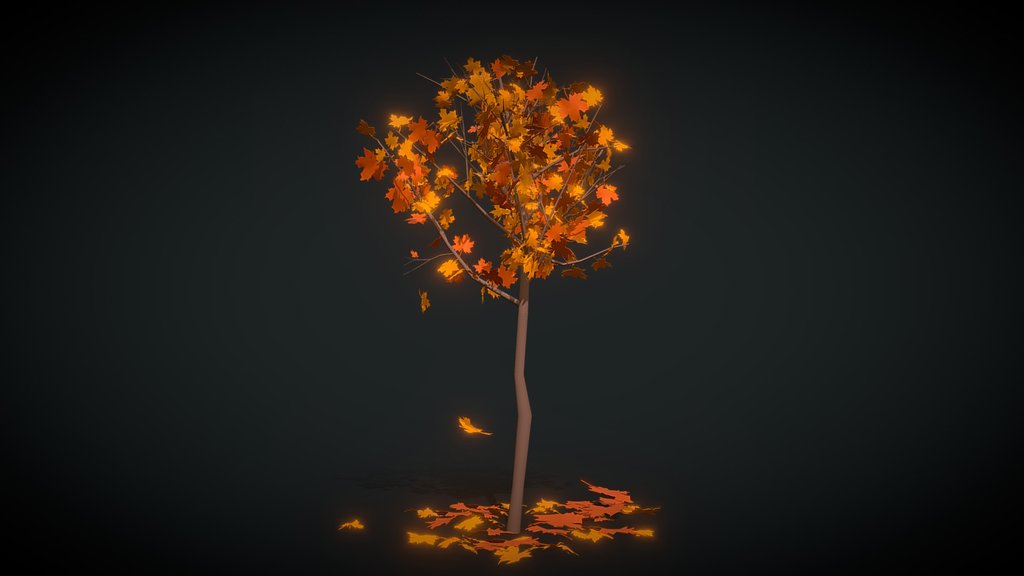 Autumn maple
