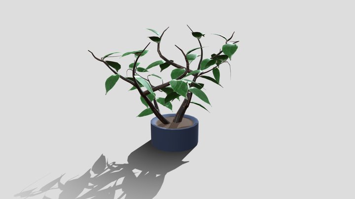 Week9_Plant_Oh_Kristine 3D Model