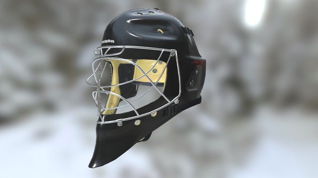 Hockey Goalie Helmet 3D Model