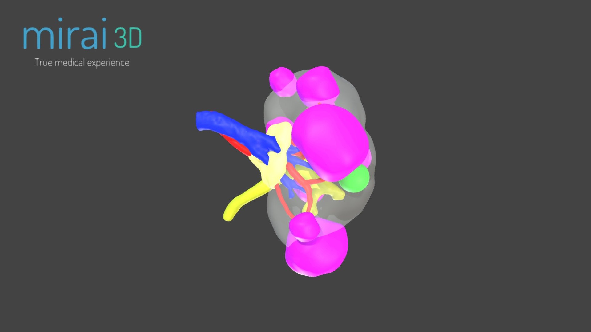 Rinon - 3D model by MIRAI3D [fe926ca] - Sketchfab