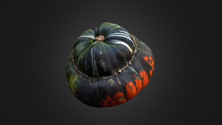 Turks Turban Pumpkin 3D Model