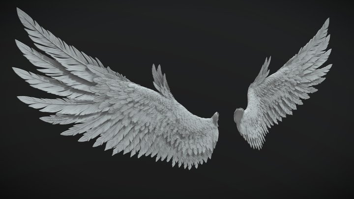 3d Printable Wings 2 3D Model