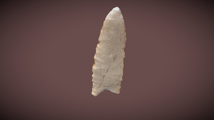 James Allen Projectile Point 3D Model