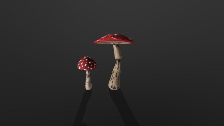 Mushrooms 3D Model