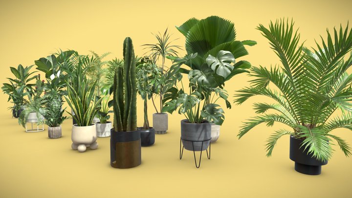 Plants Collection for Archviz 02 - 20 MODELS 3D Model