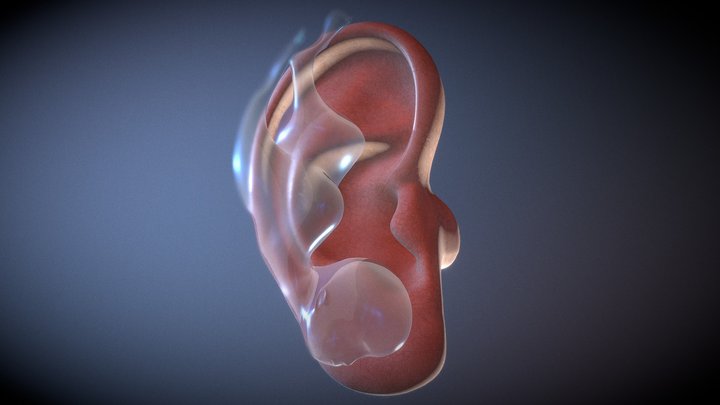 EAR_e_Baby_e_Pose_03_freeze_toSketchfab 3D Model