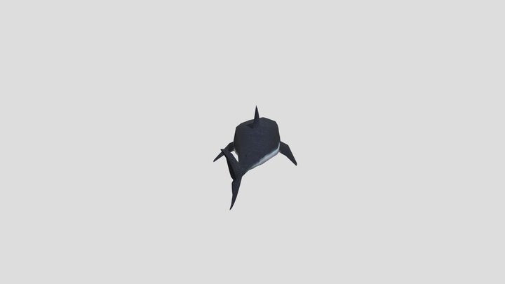 Killer Shark 3D Model