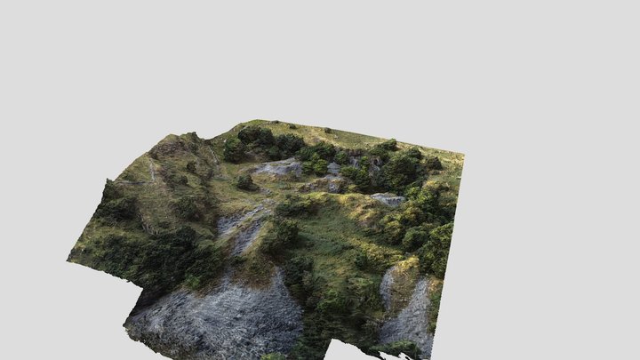 Ricklow Quarry, Monyash, Derbyshire 3D Model