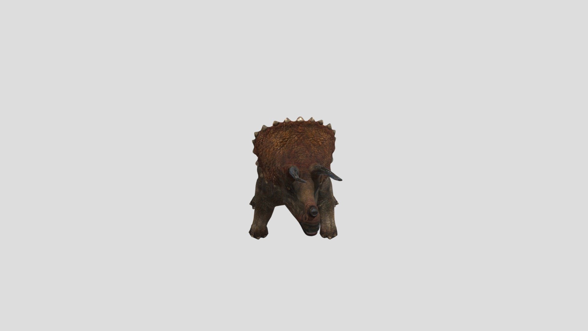 Triceratops