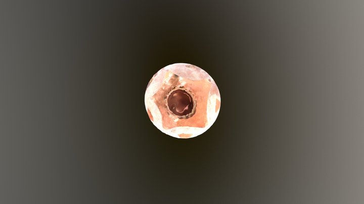 Project 4 OBJ 3D Model