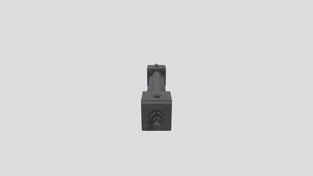 Hydraulic cylinder - mounting type D