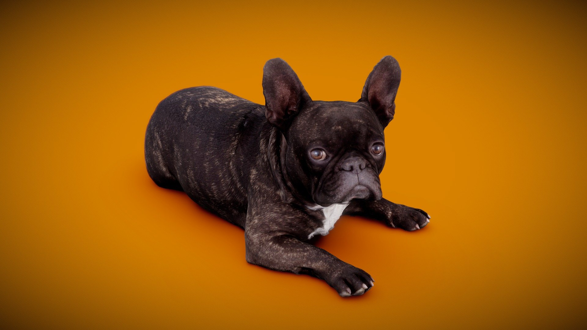 DOG B - 9of13 - Buy Royalty Free 3D model by Frank.Zwick (@Frank_Zwick ...