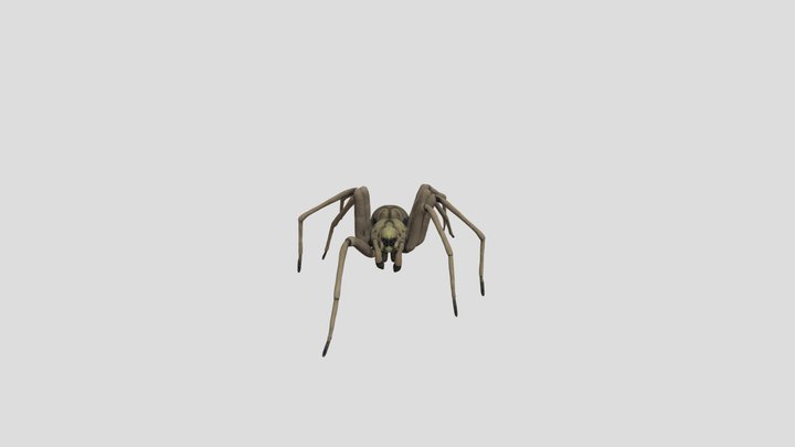 Spider! 3D Model