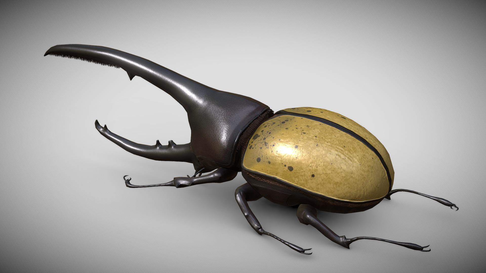 3D model Hercules Beetle - This is a 3D model of the Hercules Beetle. The 3D model is about a black and yellow beetle.