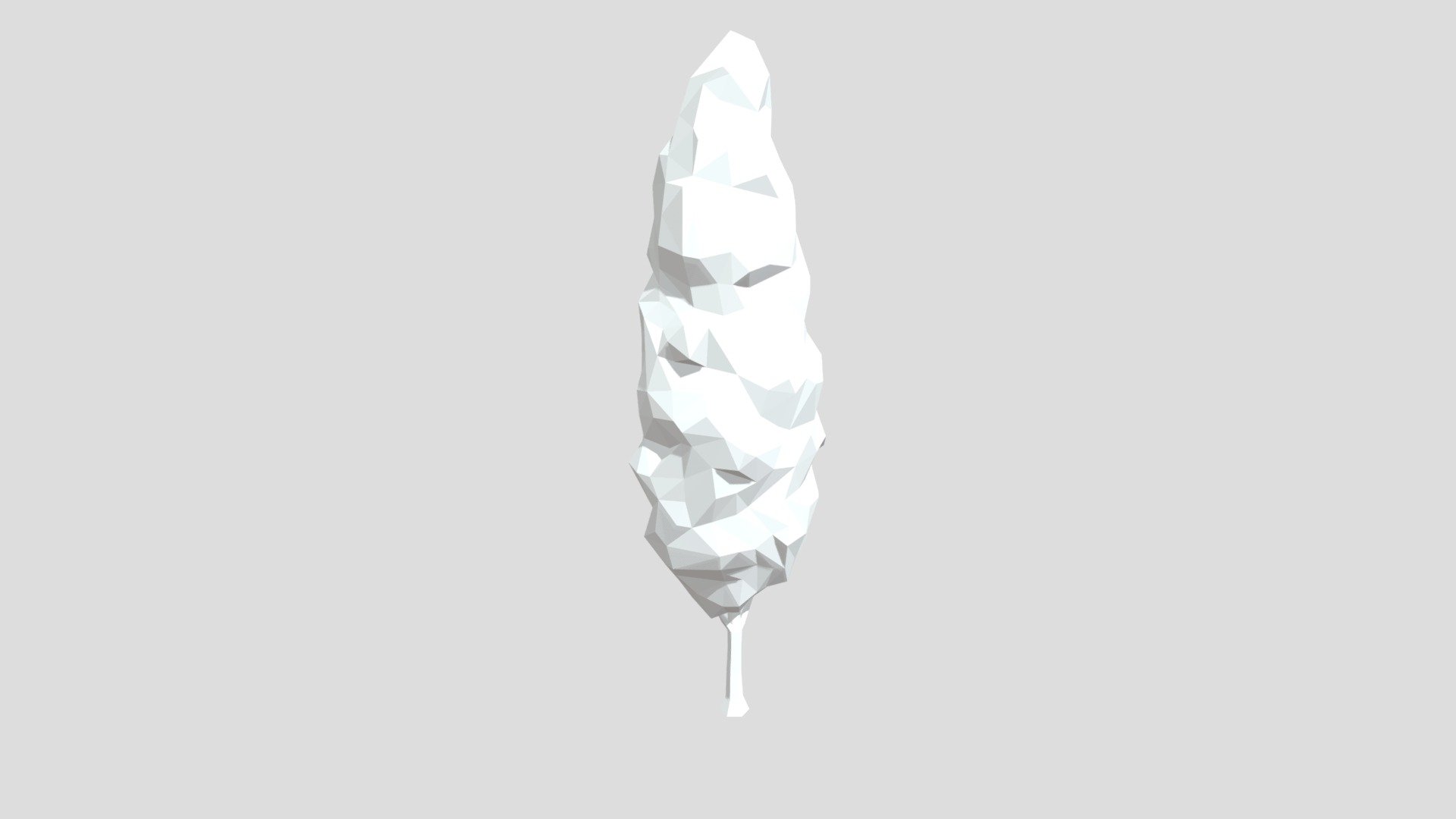 Poplar Tree