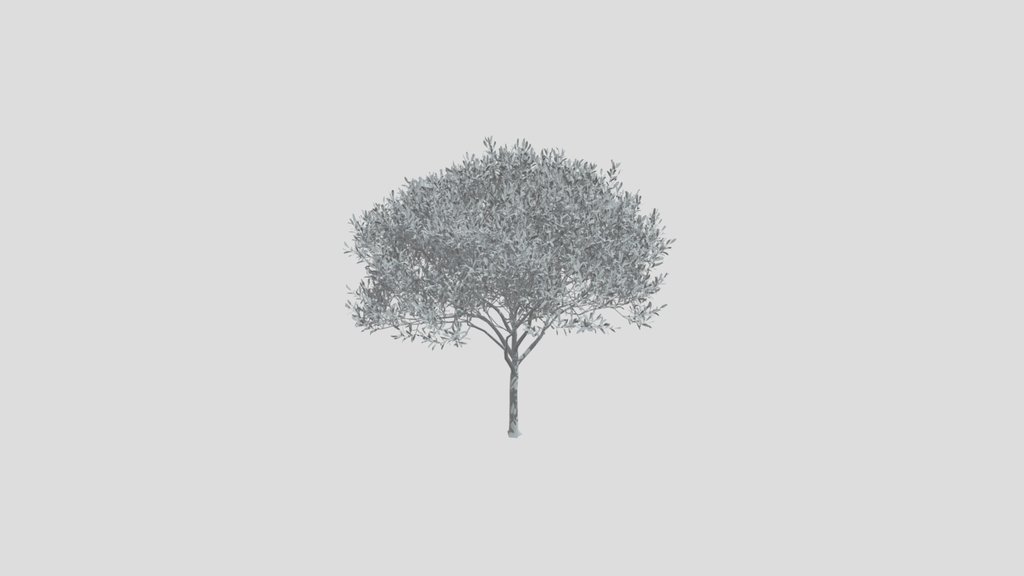 Olive Tree City Med