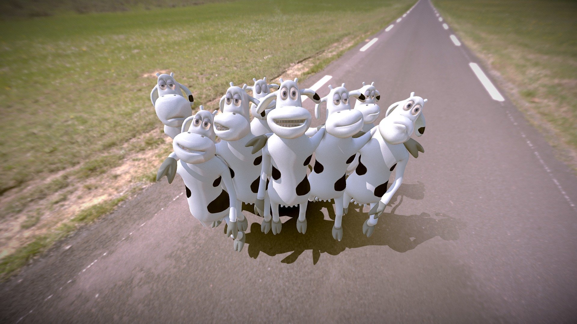 Cows