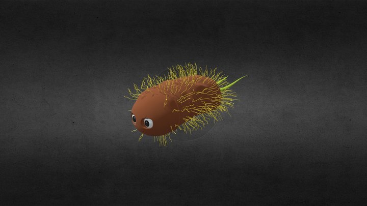 Ellie coli