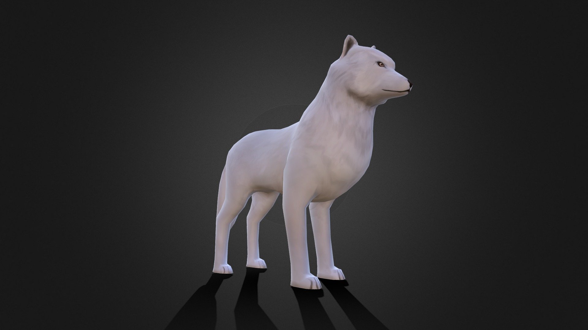 Arctic Wolf - Buy Royalty Free 3D model by 3D-IDI (@paduladi) [feba003 ...