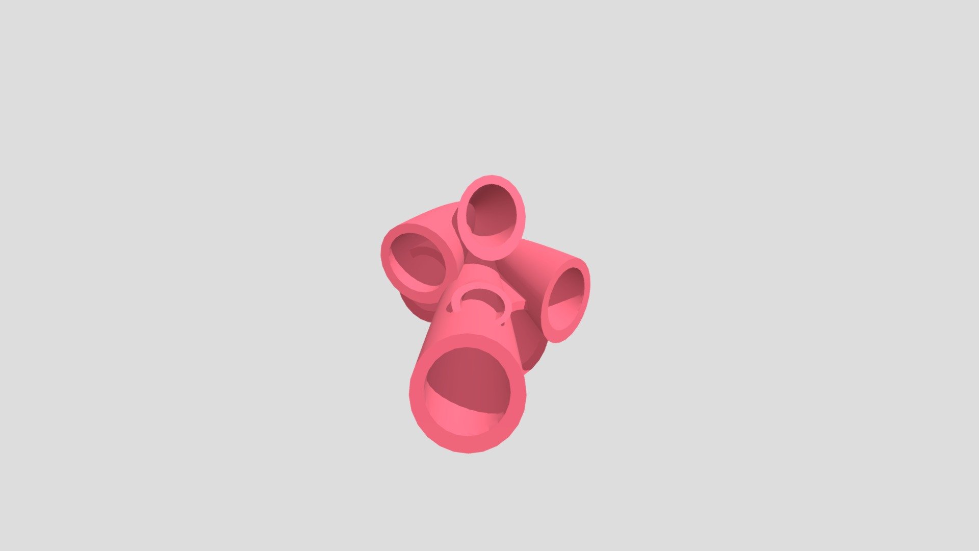 Coral 2