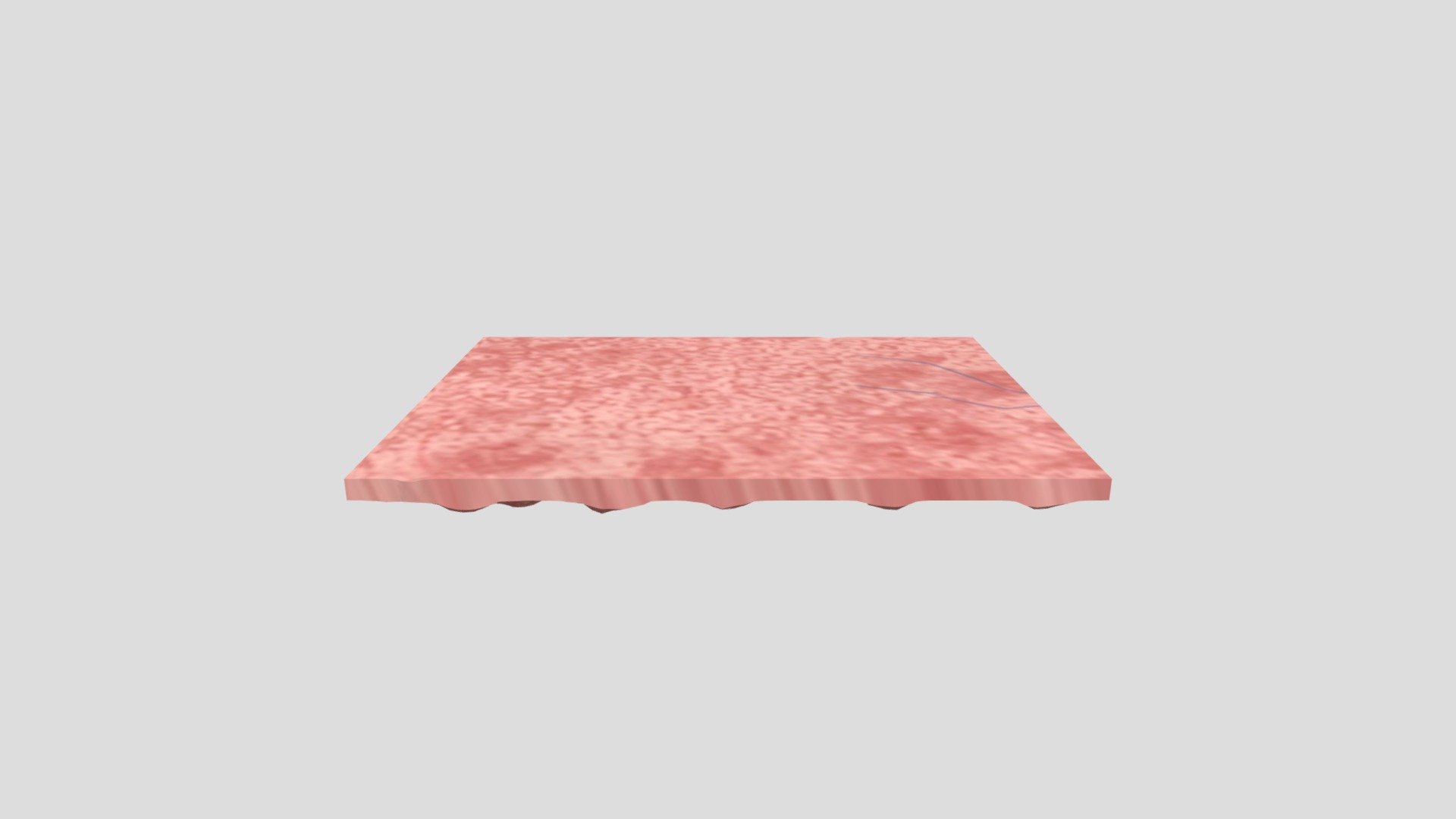 Flesh ceiling 2
