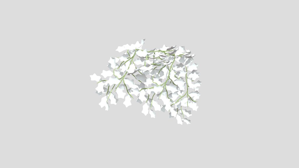 Green-creeper-plant
