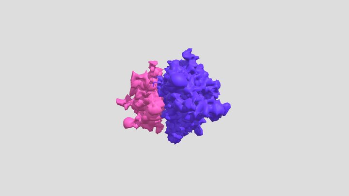 Ribosome 3D Model