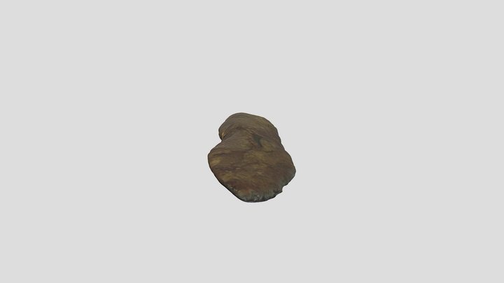 SFN 3D Project Lanceolate Projectile Point 3D Model