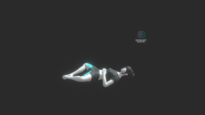 Inner_thighs_2_FEMALE 3D Model