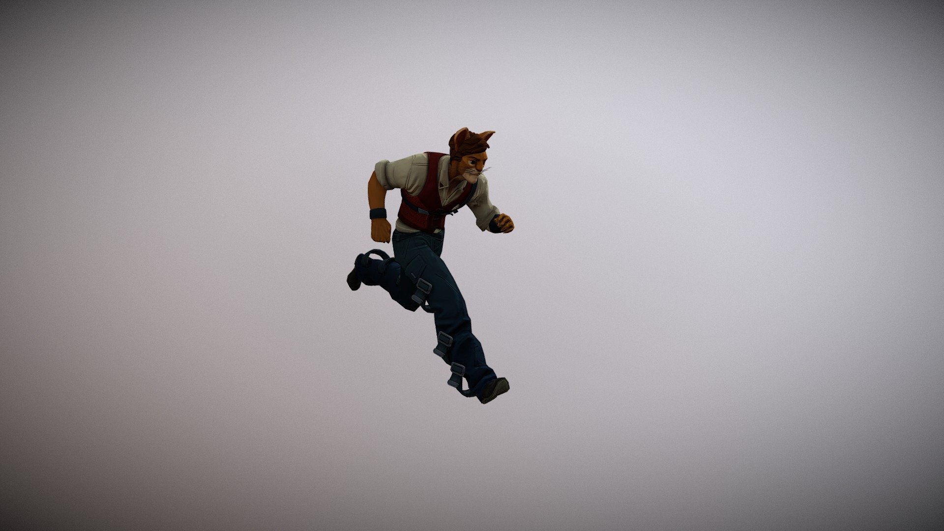 Cat Run