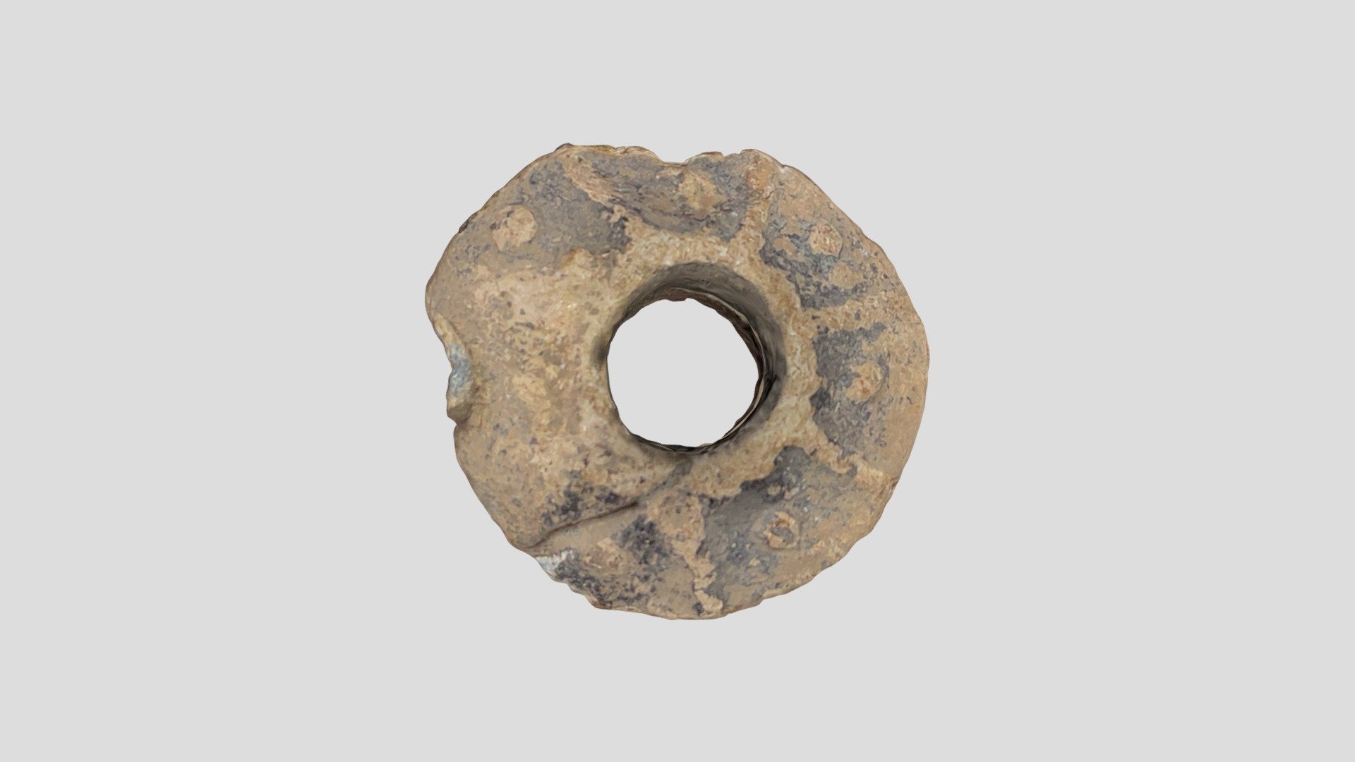 Wmid-fbbc7b Medieval Spindle Whorl - Download Free 3D model by ...