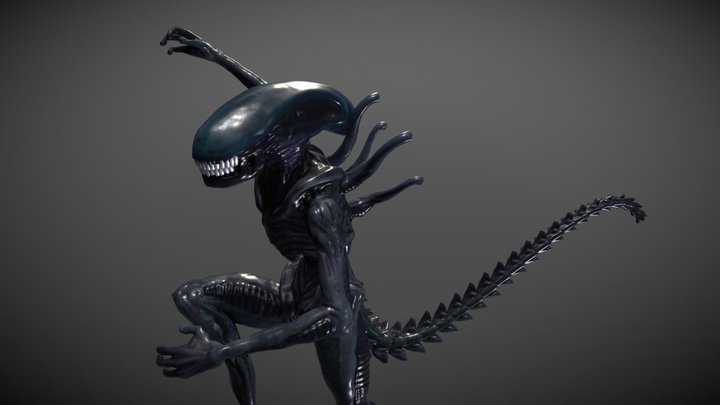 xenomorph 3D Model