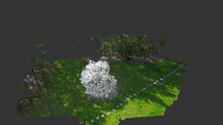 Magnolia Point Cloud & Path 3D Model