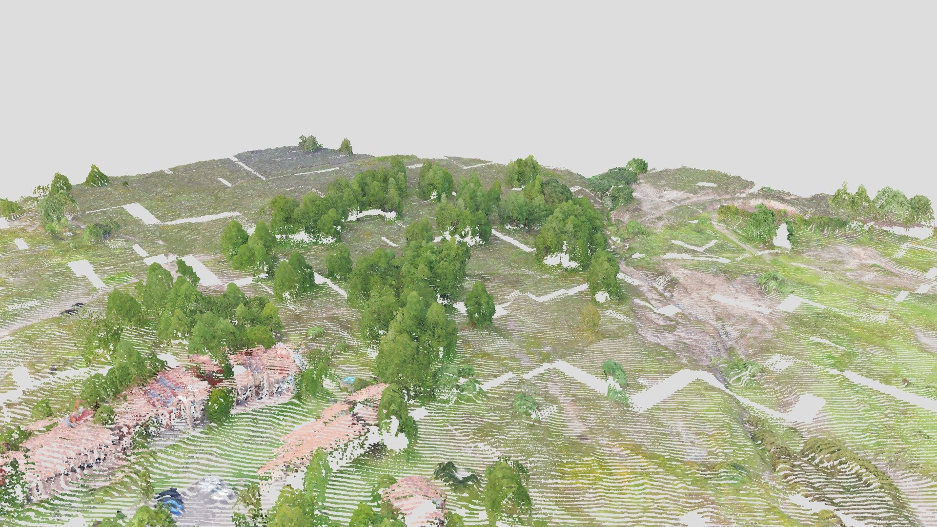 Point Cloud - BUGS