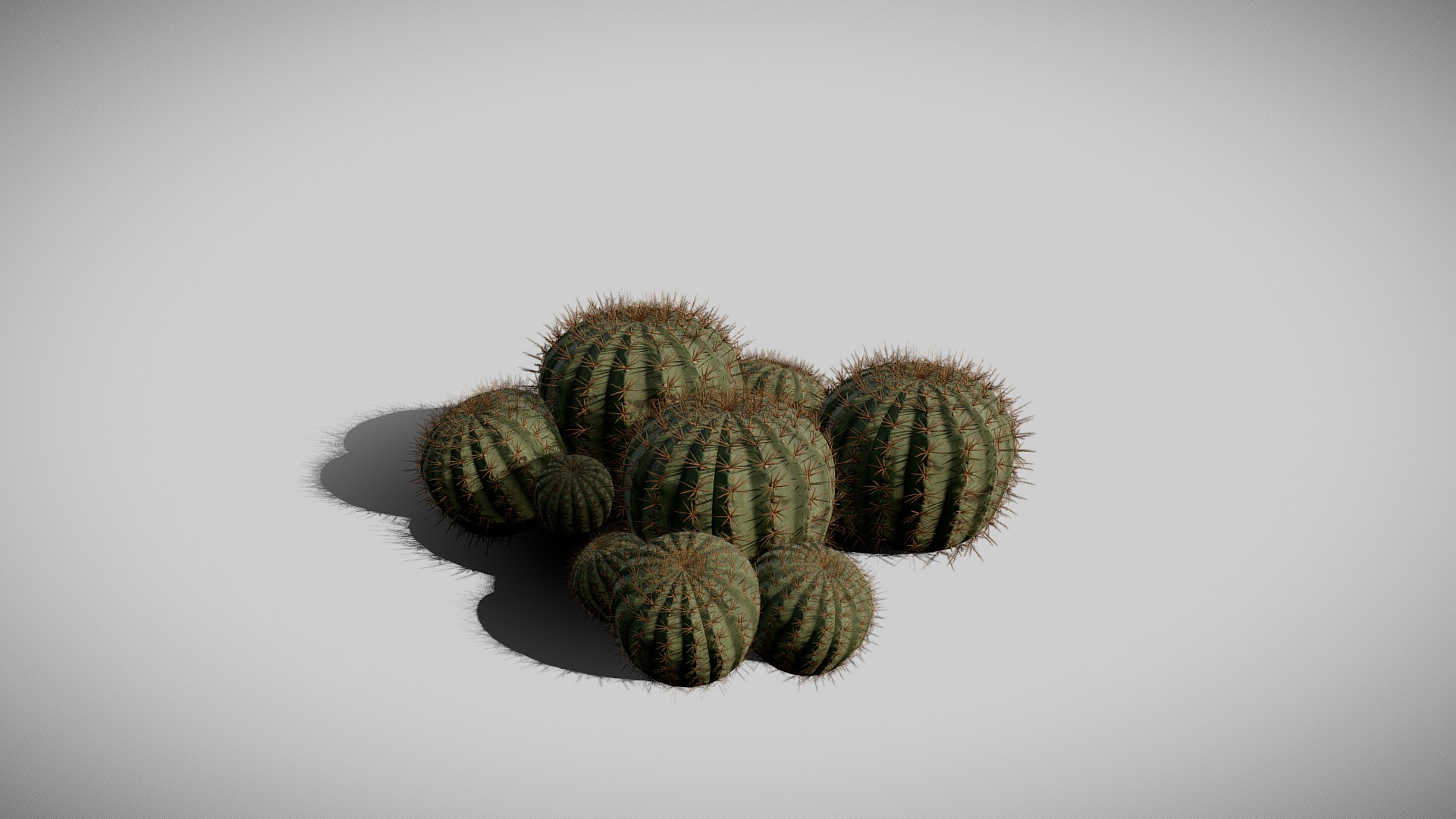 3D model Biznaga (Cactus) - This is a 3D model of the Biznaga (Cactus). The 3D model is about a group of cacti.