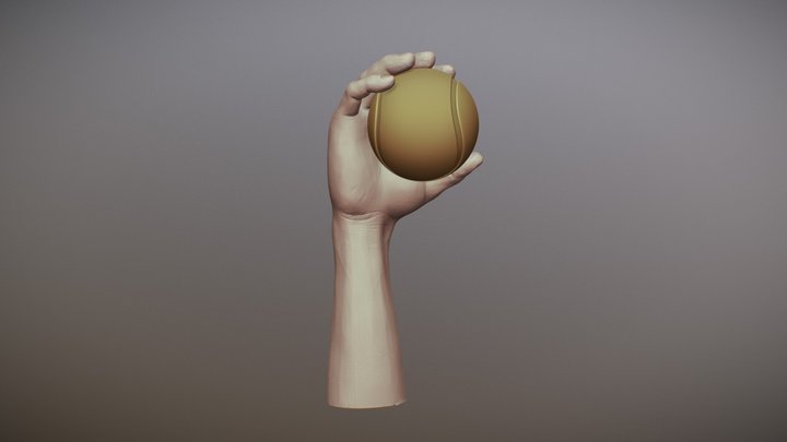Hand 3D Model