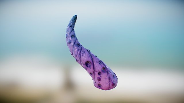 Octopus Tail 3D Model