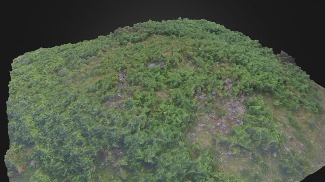 9. Dolmen  Irukurutzeta 3D Model