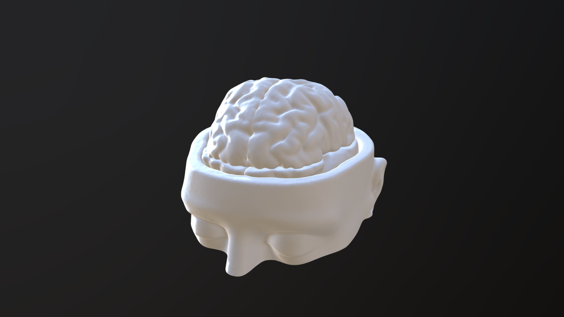 3D model Brain - This is a 3D model of the Brain. The 3D model is about a white cupcake with a white frosting on top.