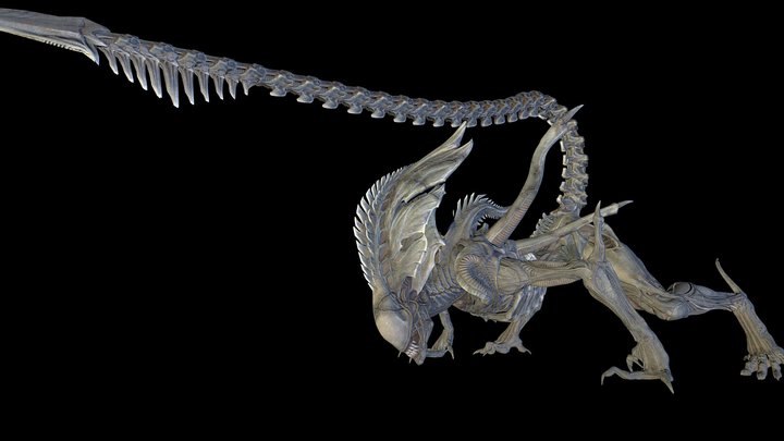 Praetorian 3D models - Sketchfab
