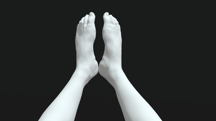 Feet Creature Sculpt 3D Model